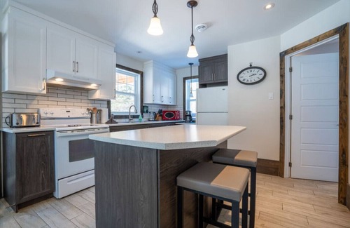 Matawinie Regional County Municipality Apartment | L`Enchanteur |Hot Tub | River & Kayaks |EV Charger