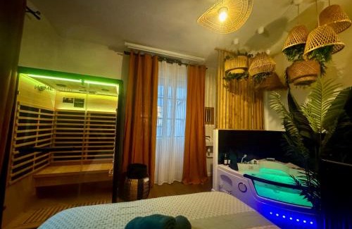 Downtown Angers Apartment | L'Oasis Angevine - Balneo, Sauna, Home Cinema & Parking