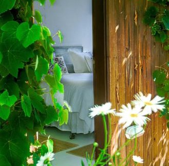 Arenas de Jose Ignacio Bed & Breakfast | La Atrevida