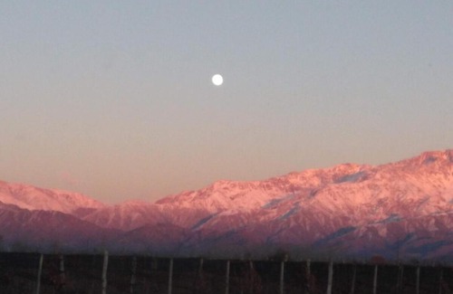 La Consulta Villa | La Bodeguita y El Bodegón Casa Tika