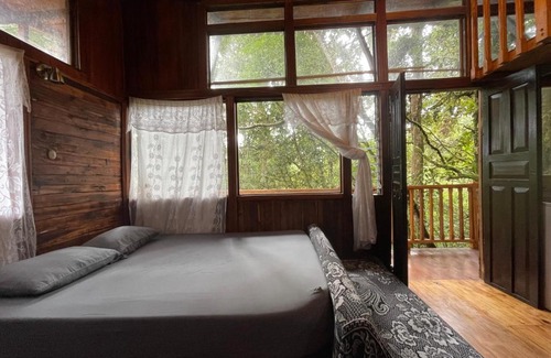 San Isidro Ski Chalet | La Bromelia/Cabaña de Montaña, Cerro de la Muerte.