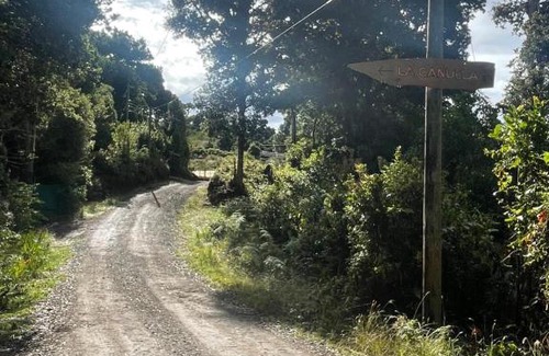 San Isidro Ski Chalet | La Bromelia/Cabaña de Montaña, Cerro de la Muerte.