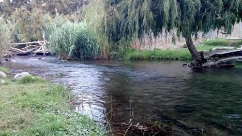 Vicuna House | La cabaña del rio Rivadavia