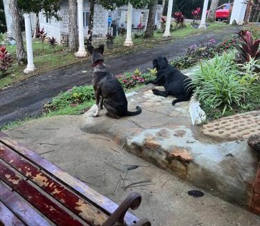 Cerro Azul House | La Cabañita