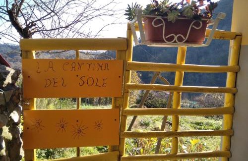 Ricco del Golfo di Spezia Apartment | La Cantina Del Sole