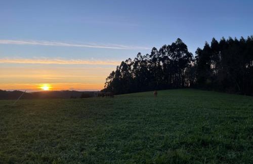 Oza-Cesuras House | La Casa da Pipa