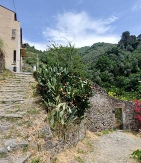 Borgo Antico House | La Casa Dei Limoni