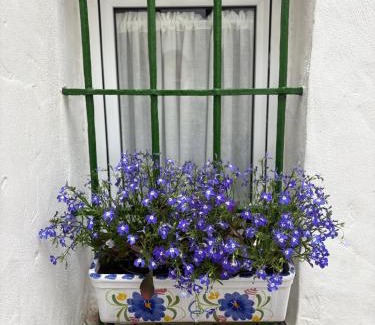 Cantillana House | La Clara Domus