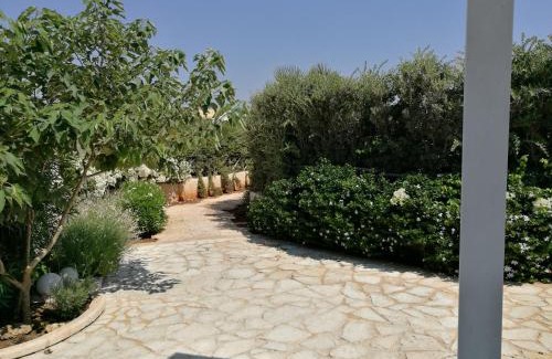 Petrosino House | La Conchiglia