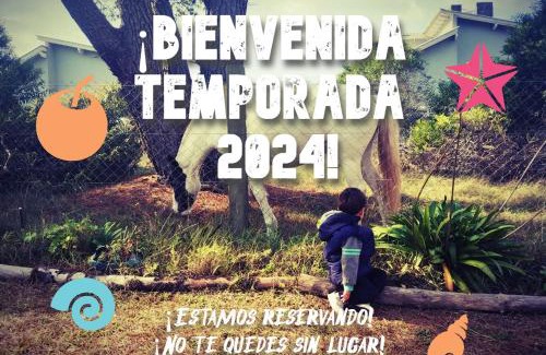 Nueva Atlantis House | La Delfina Atlantis