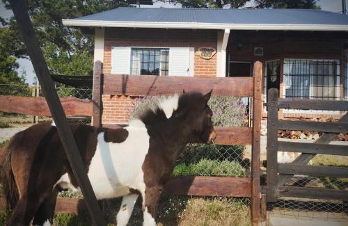 Nueva Atlantis House | La Delfina Atlantis