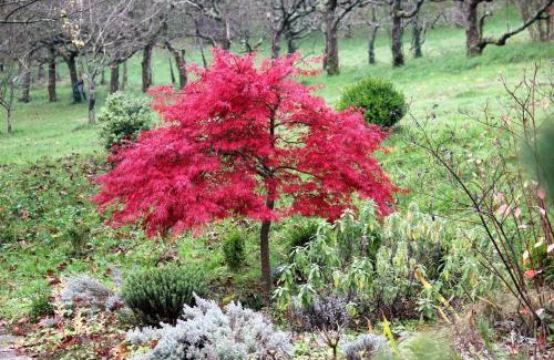 Mazamet Bed & Breakfast | La Hulotte