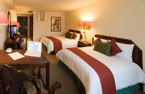 Pachuca Hotel | La Joya Pachuca