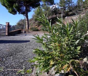 Levanto House | La Madonetta - Dimora d'epoca -