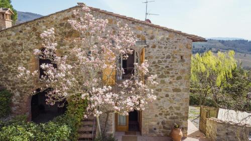 Greve in Chianti Bed & Breakfast | La Magnolia