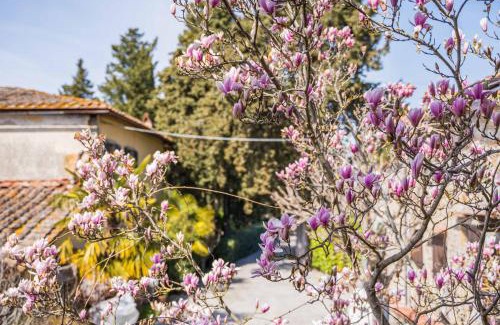 Greve in Chianti Bed & Breakfast | La Magnolia