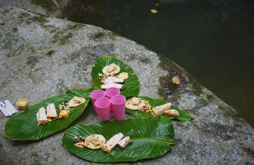 Santa Marta House | La Merecida, Nature Reserve, Coffee Cocoa Wellness