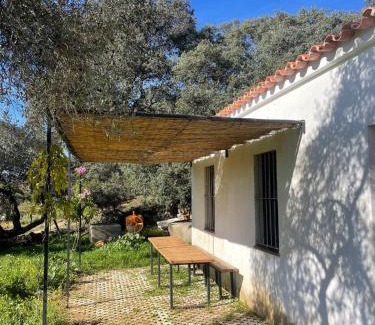 Aracena House | La mimosa