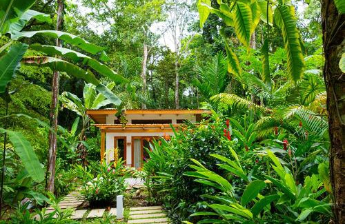 Cocles Bed & Breakfast | La Paz del Caribe Adults Only