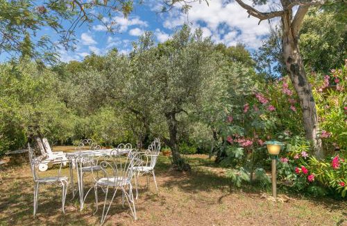 Guardistallo Apartment | La Poggiolina in Toscana