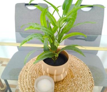 Parque Cruz Conde Apartment | La posada cordobesa II