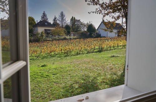 Chagny House | La Sérénité - Superb house with heated pool overlooking vineyards