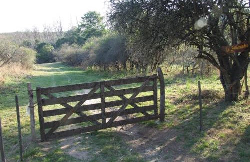 Agua de Oro House | La Salamdra