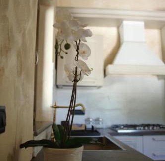 Corleto Monforte House | La Tempa del Padrone, Corleto Monforte