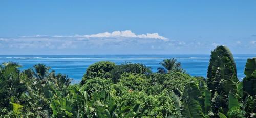 Nosy Boraha Villa | La VILLA ANKARENA Dans un domaine forestier tropical, PROPRIÉTÉ ENTIÈRE avec PISCINE PRIVEE, Wifi, TV Plage à 5 minutes à pieds
