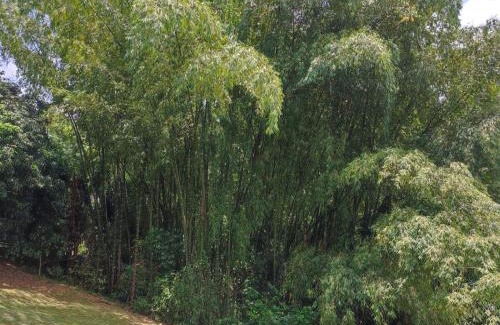 Cali Villa | La Villa The View