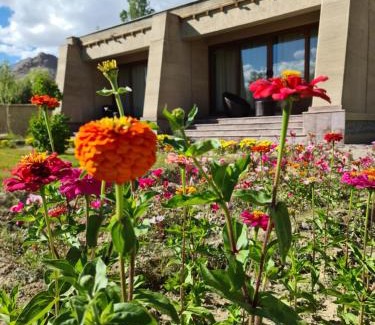 Leh Resort | Ladakh Eco Resort