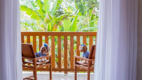 Sao Lourenco Hotel | Lagoa Seca Hotel Rural