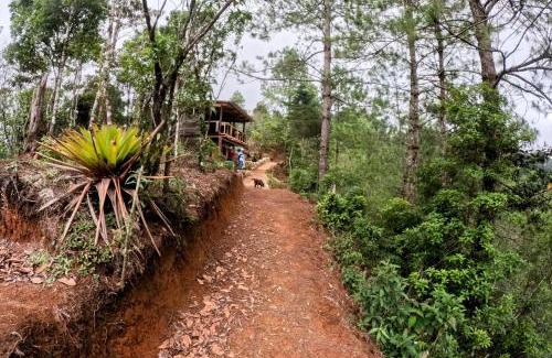 La Trinitaria Cabin | Laguna Azul Cabaña Lodge Lagunas de Montebello