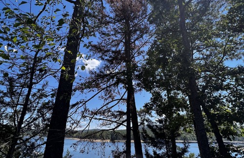 Mount Ida Cottage | Lake view two bedroom, two bath loft, log-sided cottage with private hot tub overlooking Lake Ouachita. by RedAwning