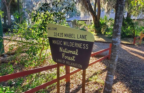 Leesburg Cabin | Lakefront Magic Wilderness Cabin