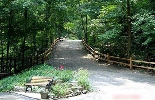 Union Pier House | Lakefront! Secluded, HotTub, Fire Pit, Private Dock&boats 90 Min from Chicago