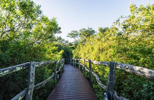 Grahamstown Cabin | Lalibela Game Reserve Mark's Camp