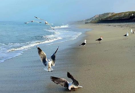 Paradise Beach Apartment | Langebaan Paradise Beach 9 Elara