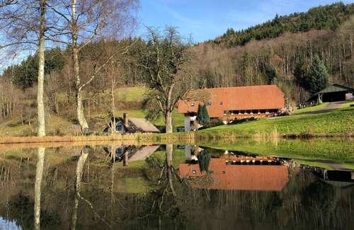Waldkirch Apartment | Langmichelhof - Apartment 32sqm, 1 living room/bedroom