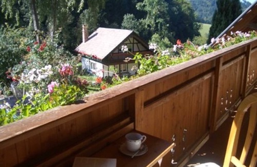 Waldkirch Apartment | Langmichelhof - Apartment 32sqm, 1 living room/bedroom