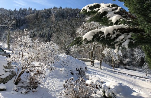 Waldkirch Apartment | Langmichelhof - Apartment 32sqm, 1 living room/bedroom
