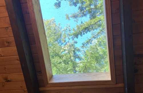 Fortuna House | Large house Up in the Redwoods perfect for large families. Pet friendly.