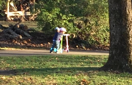 Huntsville House | Large private Monte Sano mountain Bungalow Sleeps 7-9