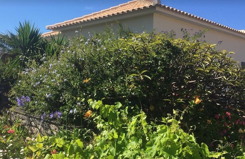 Estreito da Calheta Villa | Large Villa With Private Courtyard, Large Pool, and Panoramic Sea Views x6 adult