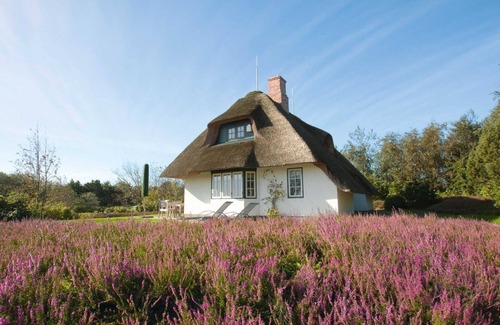 Munkmarsch Cottage | Large whale from A&M - Large whale