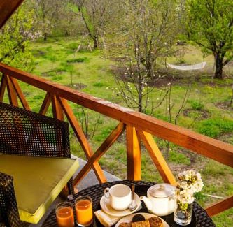 Manali Resort | Larisa Resort Manali