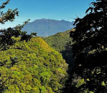 Alto Boquete House | Las cabañas del Francés