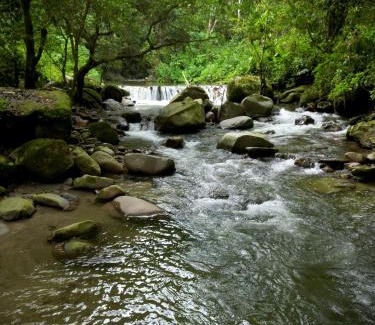 Minca House | Las Cabañas del Rio