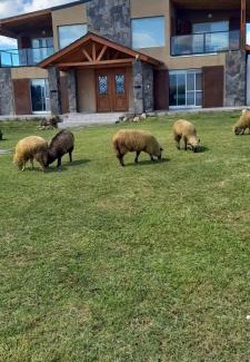 Calamuchita Department Apartment | Las Calandrias