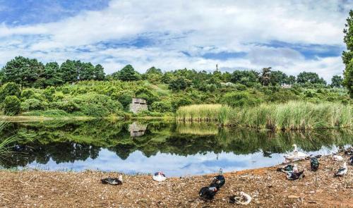 Valleseco House | Las Calas A by Villas Rivero